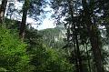 2011-08- (347)